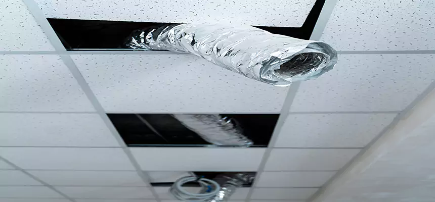 Our Air Duct Pet Hair Removal Services in San Juan Capistrano, CA