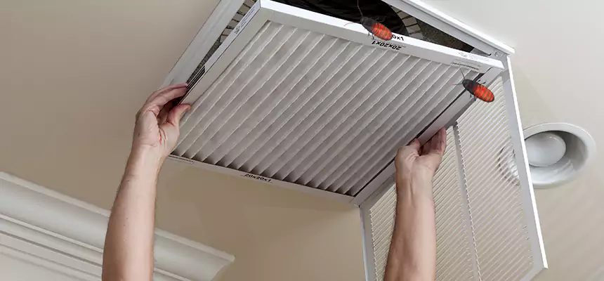 Our Insect Removal from Air Ducts Services in San Juan Capistrano, CA