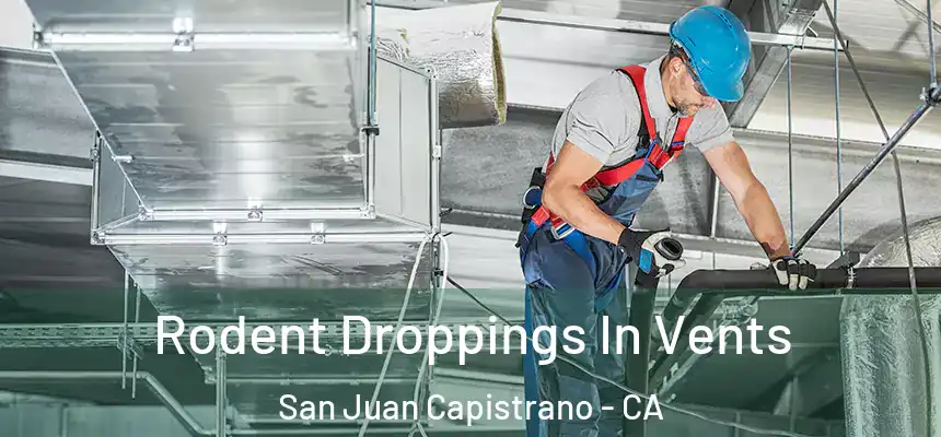  Rodent Droppings In Vents San Juan Capistrano - CA