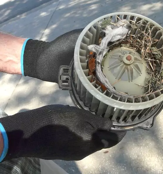 About Air Duct Mice Removal in San Juan Capistrano, CA