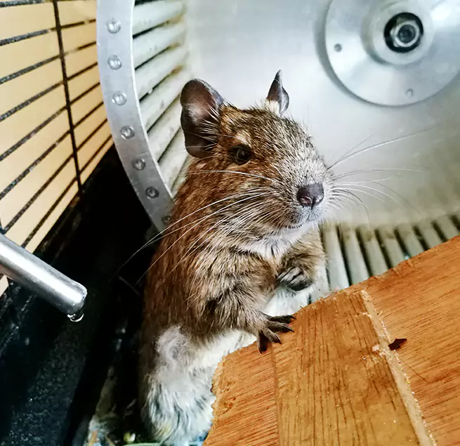 Why Homeowners & Businesses Trust Us San Juan Capistrano, CA