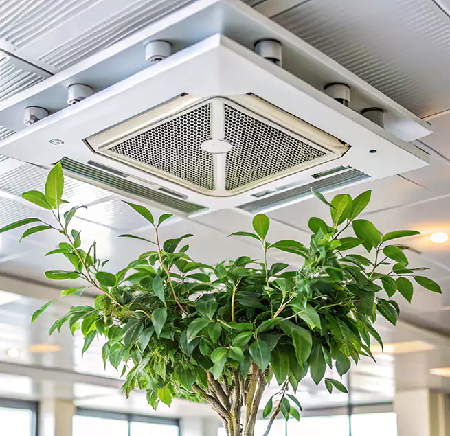 Why Homeowners & Businesses Trust Us in San Juan Capistrano, CA