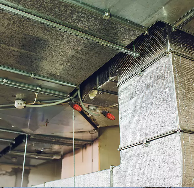 Why Homeowners & Businesses Trust Us San Juan Capistrano, CA?